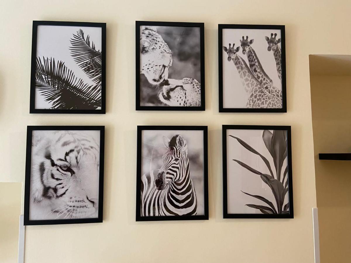 Guest House Via Poerio กาตันซาโร ภายนอก รูปภาพ